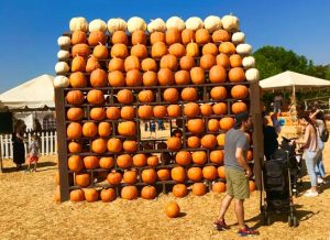 isitors at the Underwood Family Farms Fall Harvest Festival observe a structure made of pumpkins. Photo by Jack Hoy- Reporter